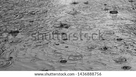 Rain drops in the water closeup background .