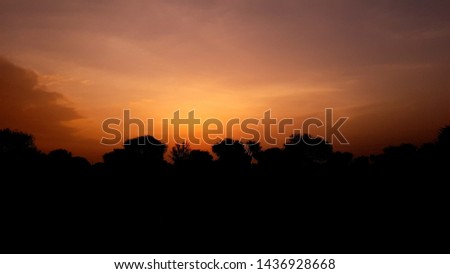 sunset landscape. sunlight and trees.