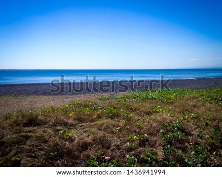 Natural Tropical Beach Grass And Plants On Sand Scenery In The Dry Season Of At The Village, Umeanyar, North Bali, Indonesia