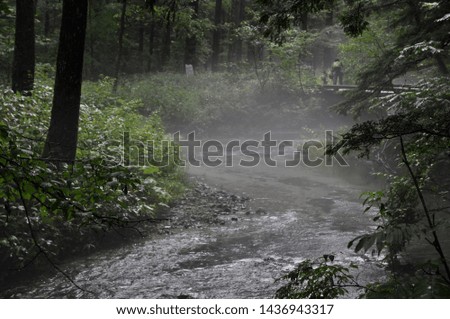 small river stream in the summer forest of Kamikochi In Nagano Japan 