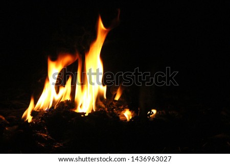 Various kinds of yellow-red flames that are swaying at night