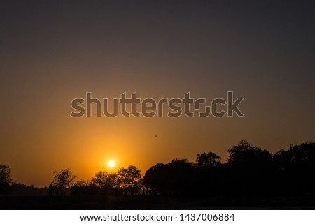 Birds flying in the sky of Sunset, Sunrise Over Forest. Bright Dramatic Sky And Dark Ground. Countryside Landscape Under Scenic Summer Dramatic Sky In Sunset Dawn Sunrise. Skyline. Warm Colors.