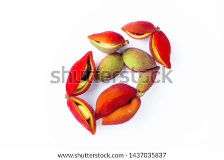 The picture of chestnut with white background