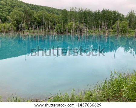 Blue pond , a famous tourist destination for traveller to Hokkaido ,Japan