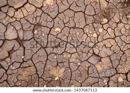 Close up of the cracked ground, dry soil texture for background. Global worming effect.