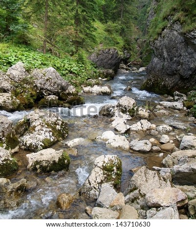 Clear mountain stream in Kvacianska Valley in The Chocsky Hills, Slovakia.