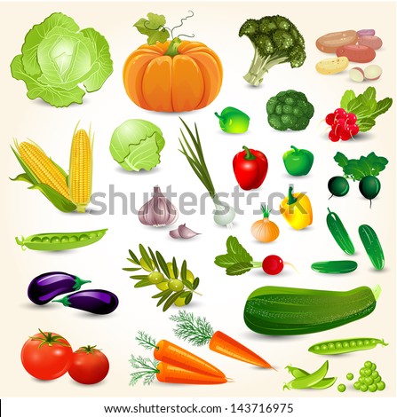 Set of fresh vegetables for your design Royalty-Free Stock Photo #143716975