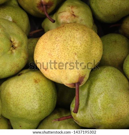 Macro Photo food fruit green pears. Texture background of fresh green pears. Image of fruit product pears