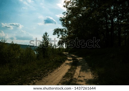 rural landscape road near the forest