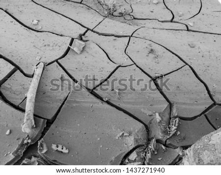 Full frame black and white close up of dried mud patterns in Zion National Park in Utah