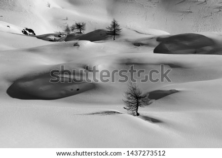 Italian Alps, Valle d'Aosta, Italy. Beautiful alpine snowy landscape in a sunny winter day in black and white.