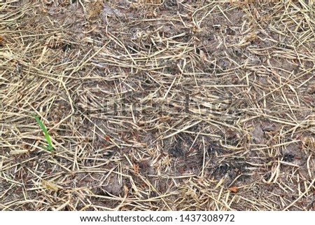Detailed close up surface of straw and hay seen on a farm