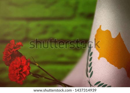 Cyprus flag with two red carnation flowers for honour of veterans or memorial day on green blurred painted brick wall mockup. Cyprus glory to the heroes of war concept.