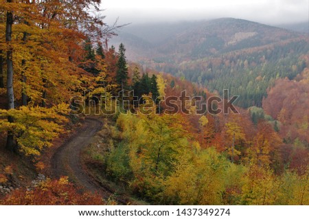 Beautiful colorful autumn in Owl Mountains, Gory Sowie