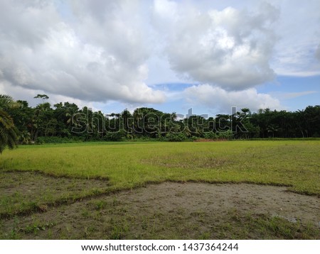 Beautiful cloudy blue sky with the nature of bangladeshi village area.