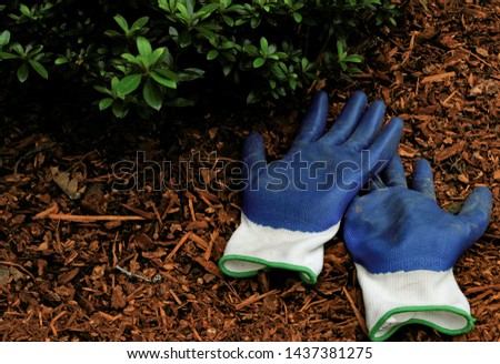 blue gardening gloves in beauty bark