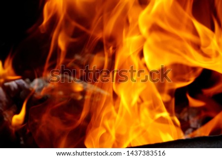 Burning firewood and yellow red fire flames with black background