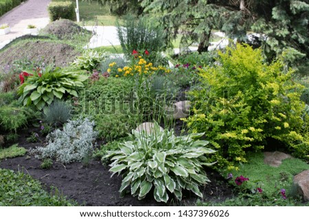ornamental courtyard decoration with green plantings in the form of a flower bed