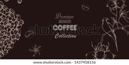 Coffee illustration on label packaging design. Hand drawn vector banner. Coffee beans, leaves, branch, bird