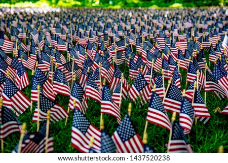 Display of small American flags cover the grass in a park