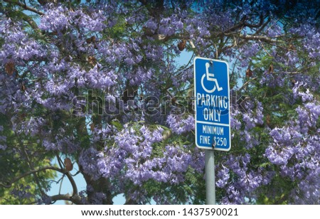 Handicap sign on pole in front of colorful tree