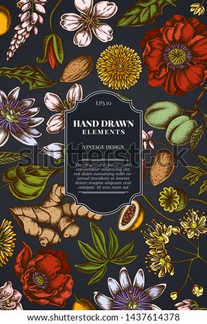Card design on dark background with almond, dandelion, ginger, poppy flower, passion flower, tilia cordata