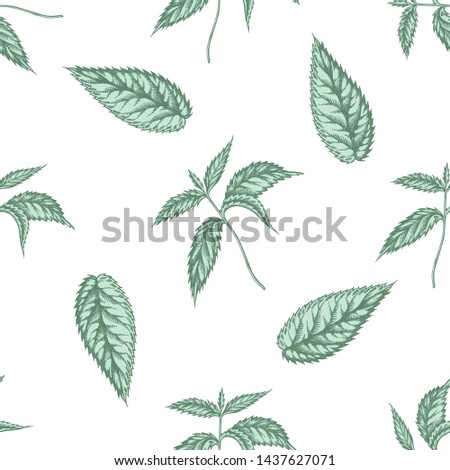 Seamless pattern with hand drawn pastel nettle