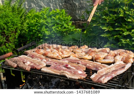 Close up picture of grilling tasty pork and chicken at an outdoor barbecue party