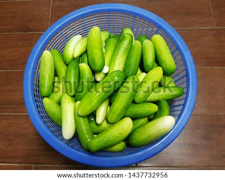 Cucumber in a blue plastic basket
