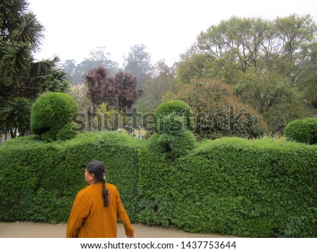 Honneymoon garden ooty mysore pics Royalty-Free Stock Photo #1437753644