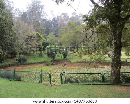 Honneymoon garden ooty mysore pics Royalty-Free Stock Photo #1437753653
