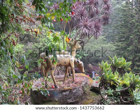 Honneymoon garden ooty mysore pics Royalty-Free Stock Photo #1437753662