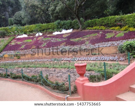 Honneymoon garden ooty mysore pics Royalty-Free Stock Photo #1437753665