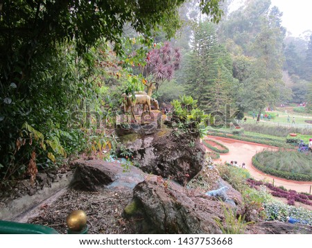 Honneymoon garden ooty mysore pics Royalty-Free Stock Photo #1437753668