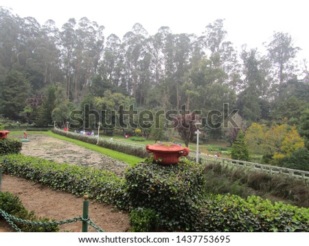 Honneymoon garden ooty mysore pics Royalty-Free Stock Photo #1437753695