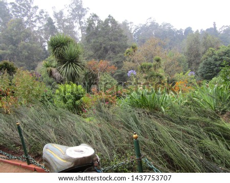 Honneymoon garden ooty mysore pics Royalty-Free Stock Photo #1437753707