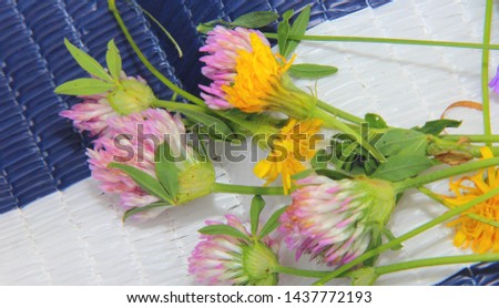 clover texture and yellow flowers on blue white background
