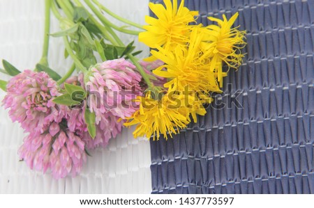 clover texture and yellow flowers on blue white background
