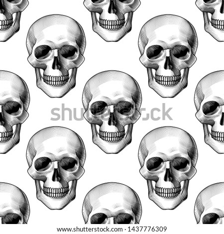 Human skull seamless pattern background isolated on white. Vintage color engraving stylized drawing. Great for fabric, textile. 