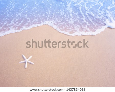 White small starfish on sand and pastel water wave, vintage filter effect. Summer beach on holiday vacation concept background.