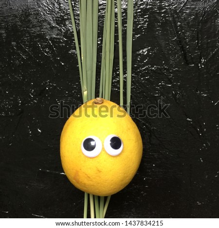 Lemon with eyes in a sedge
