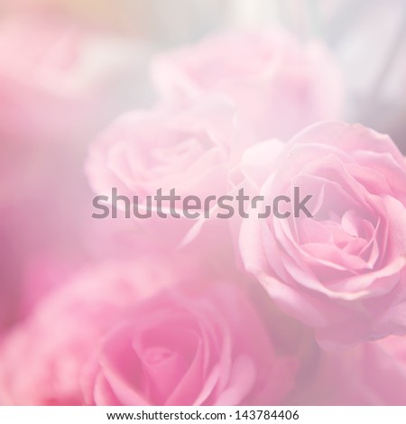 beautiful flowers wit color filters, floral background