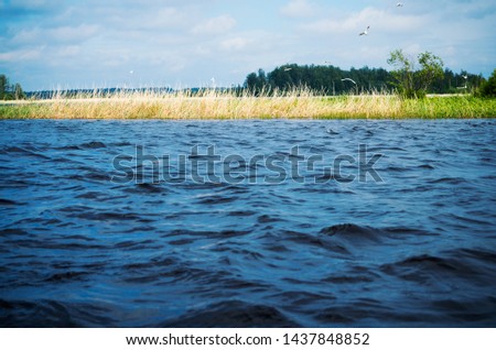 Beautiful dark minimal background with yellow cane, green and blue lake. 