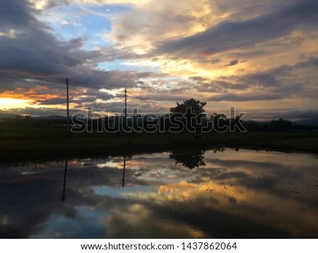 Rice fields in the rainy season, reflecting clouds. Chiang mai, Thailand