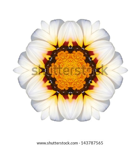 Flower mandala on white background