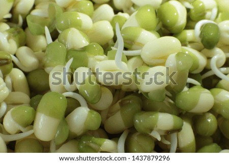 Macro photo background sprouted mash, seedlings food vegetarians and raw to eat, texture vegetarian diet
