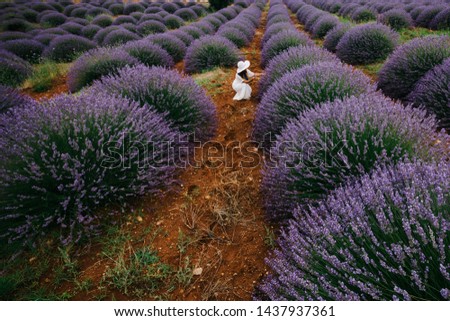 All photos were taken at Lavender fields of Isparta/Turkey and the shoots were taken at July 2015. 
