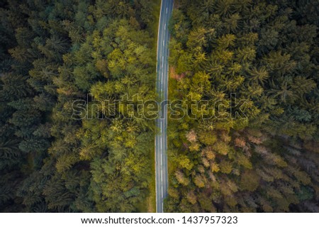 Amazing aerial shot of the trees along the Snake Pass in Peak District National Park, shot in summer of 2019