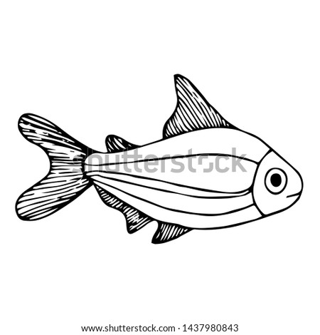Sea fish sketch for background and design vector illustration