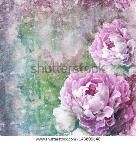 Beautiful background with  peonies  with vintage look/ romantic textured card with peony